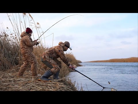 Видео: ВОТ ЭТО ПОПАЛИ НА РЫБАЛКУ. ЗИМНИЙ ЖОР САЗАНА. Рыбалка на закидушки и донки.