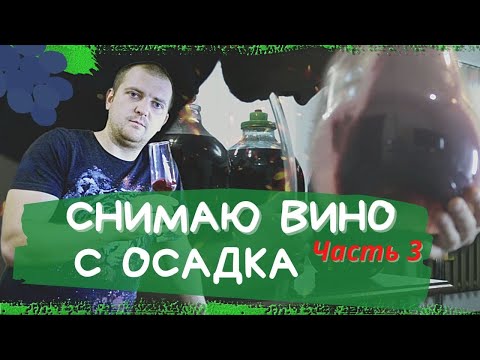 Видео: Когда снимать ВИНО с осадка и добавлять САХАР/ Первая дегустация