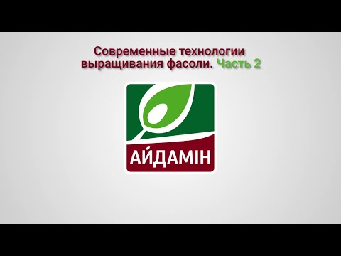 Видео: Современные технологии выращивания фасоли. Часть 2.