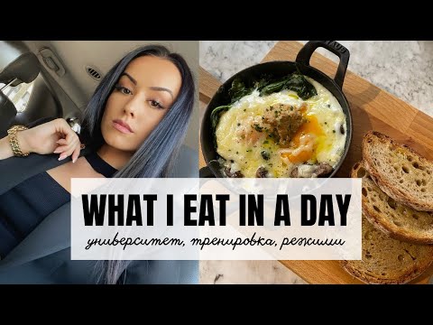 Видео: WHAT I EAT IN A DAY | тренировка, първи ден в университета | Vanessa Kyosina