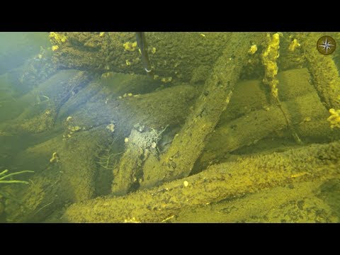 Видео: ПОДВОДНАЯ ОХОТА НА КРУПНОГО ОКУНЯ. КОМПАС №29