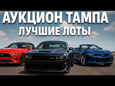 Видео: ЦЕНЫ НА НЕМЦЕВ ПАДАЮТ!!! СМОТРИМ ЛУЧШИЕ ЛОТЫ