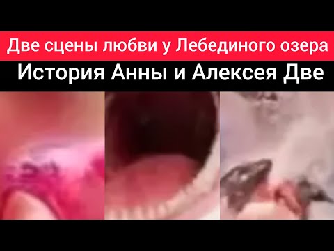 Видео: 🚨Две сцены любви у Лебединого озера: История Анны и Алексея
