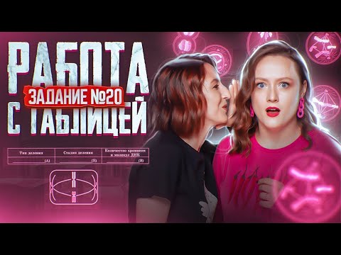 Видео: Работа с таблицей | Сборник Рохлова | Задание 20 | ЕГЭ-2025 по биологии