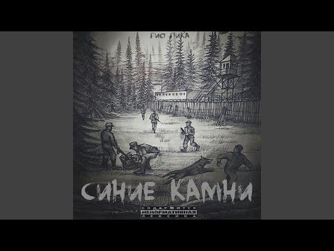 Видео: С севера