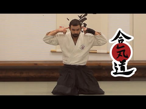 Видео: Сёриндзи Кэмпо, Айкидо, Иайдо и другие объединяются, чтобы улучшить жизнь на планете.