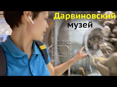 Видео: Дарвиновский музей Москва Обзор