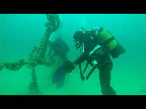 Видео: ДАЙВИНГ НА ТАРХАНКУТЕ! СЕКРЕТНАЯ МИДИЙНАЯ ФЕРМА ВРЕМЕН СССР ГДЕ ВЫРАЩИВАЛИ МУТАНТОВ!)