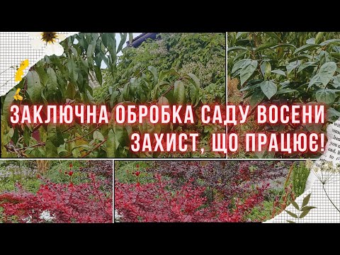 Видео: Осіння обробка плодового та декоративного саду. Як, коли і чим обробити сад перед зимівлею