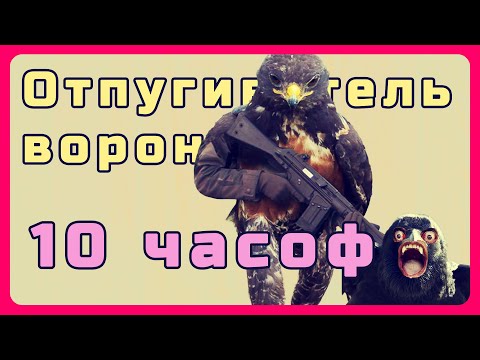 Видео: 10 часов звуков хищных птиц против ворон. Тарон ТВ
