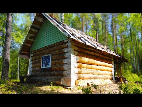 Видео: ЖИВУ ОДИН В ЛЕСУ, ИЗБА ДАЛЕКО НА СЕВЕРЕ