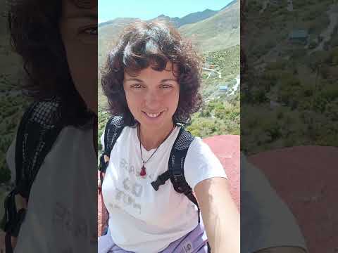 Видео: 8 ноября 2025 г.