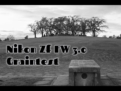 Видео: Тест зерна Nikon Zf FW 3.0. Noct 58mm f1,2