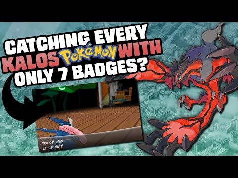 Видео: НАСКОЛЬКО ЛЕГКО ВЫ МОЖЕТЕ ВЫПОЛНИТЬ ИСПЫТАНИЕ ПРОФЕССОРА ОУКА В POKEMON X/Y?