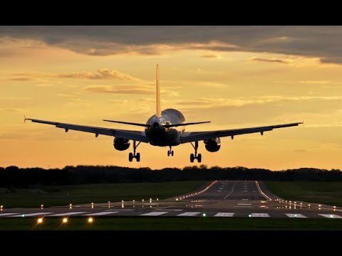 Видео: Суд вынес приговор по делу Bek Air