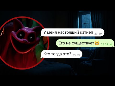 Видео: проклятие кота дремота в реальной жизни