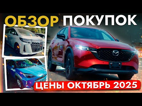 Видео: Обзор стоянки❗ Какие модели НЕ БОЯТСЯ НОВОГО УТИЛЯ❓ АВТО от 500 000 ❗ Актуальные цены октябрь 2025