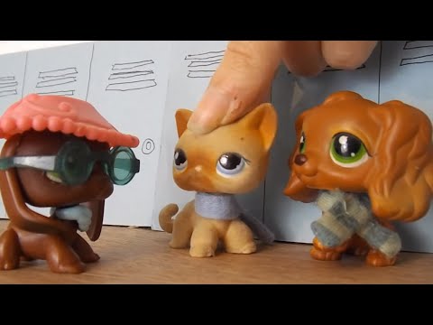 Видео: Что если бы LPS: Popular был реалистичным?