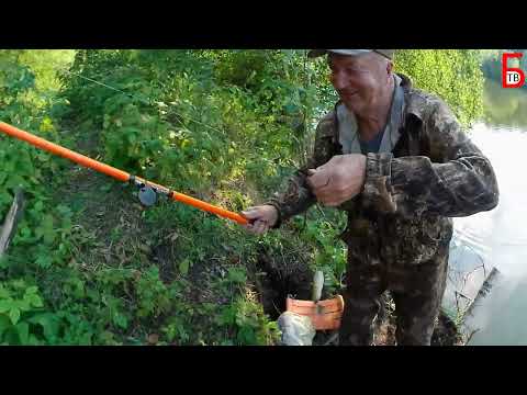 Видео: Рыбалка на канале возле села Бортсурманы