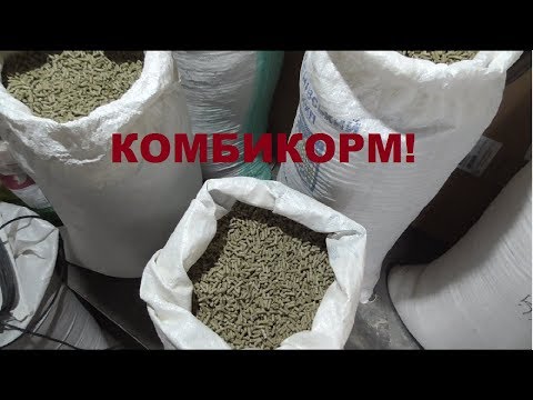 Видео: Комбикорм для кроликов, делай сам!