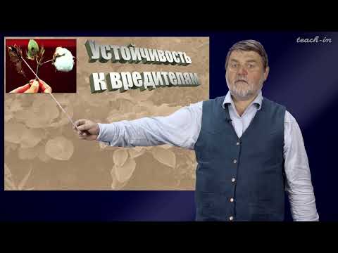 Видео: Чуб В.В. - Молекулы в пищевых цепях:от растений до человека - 28. Растения - ГМО