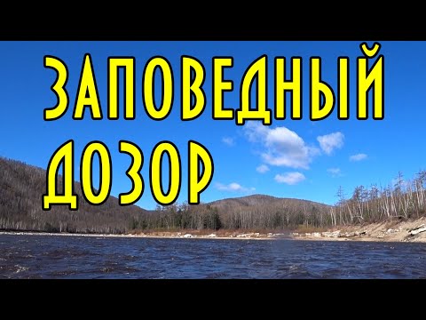 Видео: Заповедный дозор, река Гилюй, по перекатам, по шиверам. #домавместе