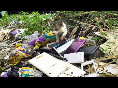 Видео: Ищем брошенный телефон на помойке || Восстановление Заброшенного Разрушенного Телефона