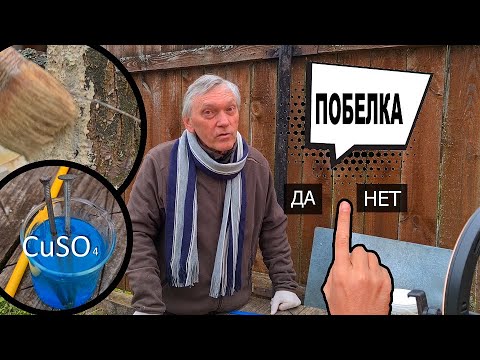 Видео: Побелка деревьев. Обработка сада от вредителей и болезней.