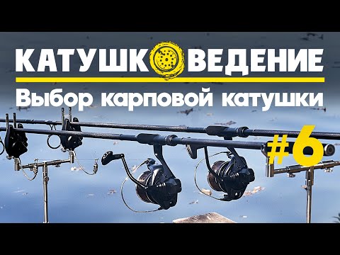 Видео: Выбор катушки для карповой ловли. Бейтраннер или быстрый фрикцион? Катушковедение #6