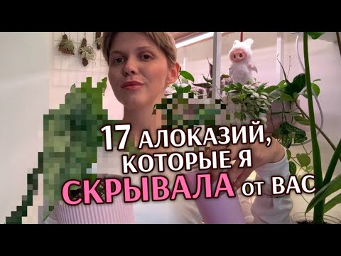 Видео: 17 НОВЫХ АЛОКАЗИЙ | За СКОЛЬКО КУПИЛА?