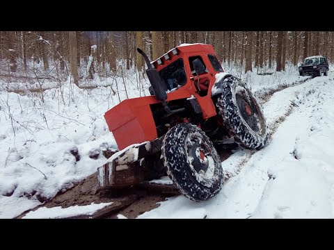 Видео: Советский трактор Т-40АМ в зимнем лесу!!! Такого мы точно не ожидали!!!