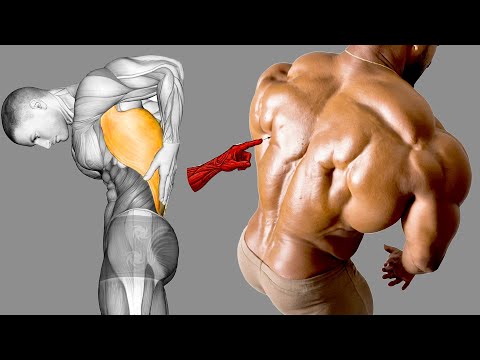 Видео: Огромные широчайшие: 9 самых быстрых упражнений на широкую спину