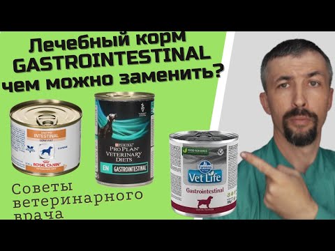 Видео: GASTROINTESTINAL корма для собак