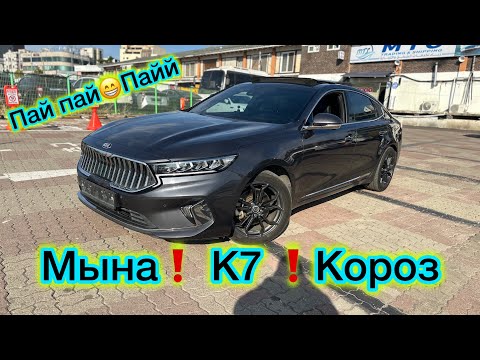 Видео: ‼️  К7  келди Базарга  🧨 БОДРЫЙ. ТЫРС ЭКЕН 👌 Арзан баада САТЫЛАТ