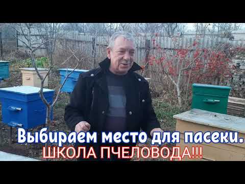 Видео: ПАСЕКА.ПЧЕЛОВОДСТВО. КАК ПРАВИЛЬНО ВЫБРАТЬ МЕСТО ДЛЯ ПАСЕКИ.