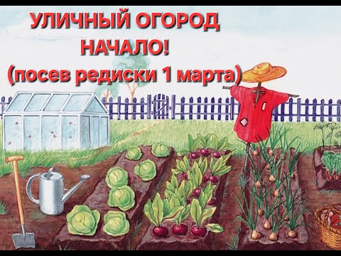 Видео: Уличный огород! Начало! Сеем Редис!