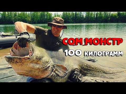 Видео: СОМ - МОНСТР 100 килограмм на поплавок. Ночная схватка с трофеем | Экспедиция СОМ - 2 серия