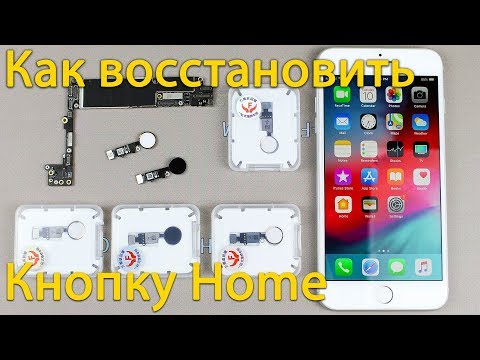 Видео: Что делать если перестала работать кнопка home на iPhone