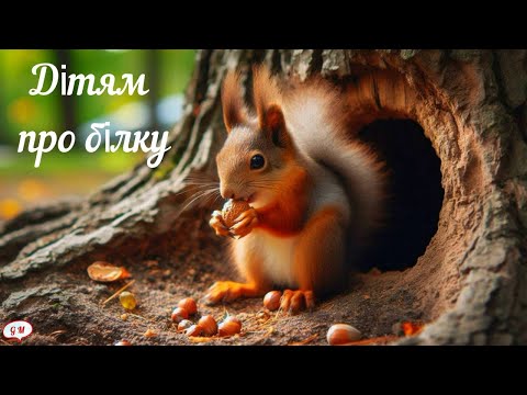 Видео: Дітям про білку#дикі тварини#білка #заняття #дітям