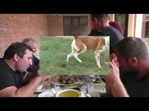 Видео: Чемпион  Джамуха