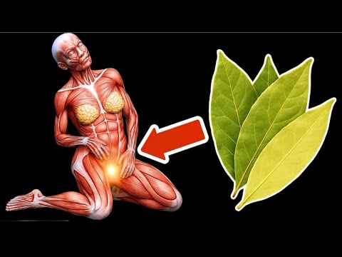 Видео: Пейте чай из лаврового листа каждый день и удивляйтесь тому, что происходит (Потрясающе)