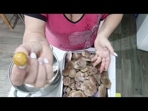 Видео: Третья часть грибного балета. 