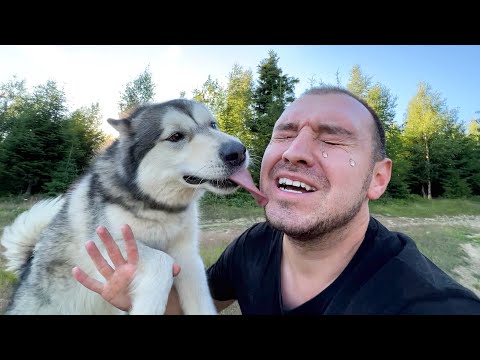 Видео: ПОТЕРЯЛАСЬ СОБАКА - МАЛАМУТ ЛЕКСИ в ГОРАХ!