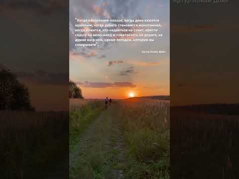 Видео: 5 ноября 2024 г.