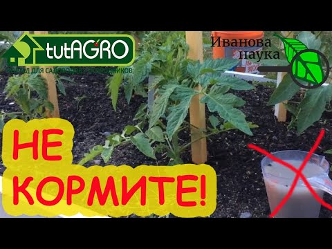 Видео: КАК СЭКОНОМИТЬ? НЕ НАРУШАЙТЕ ЗАКОНЫ ПРИРОДЫ! Когда, как и чем НЕ СТОИТ подкармливать растения.