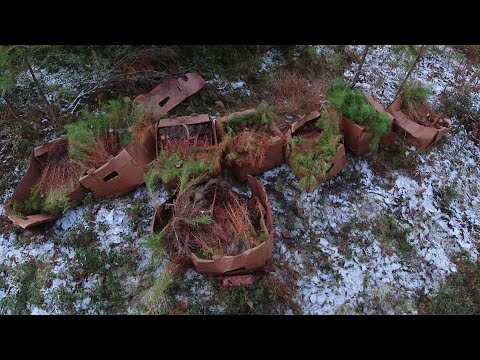 Видео: СТРАШНАЯ НАХОДКА В ТАЙГЕ! ЭТО ЛЕЖАЛО В КОРОБКАХ ПОД ЁЛКОЙ! ОТКРЫЛ, А В НИХ.. #таёжныйпромысел #охота