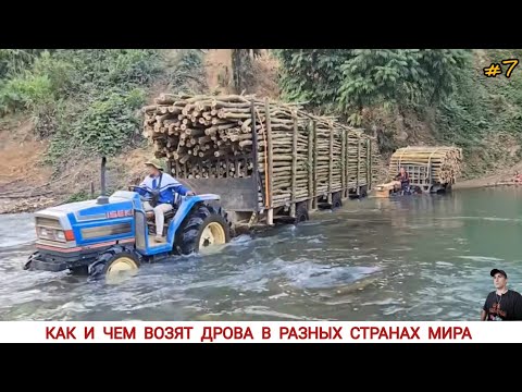 Видео: КАК И ЧЕМ ВОЗЯТ ДРОВА В РАЗНЫХ СТРАНАХ МИРА #7/ TRANSPORTATION OF FIREWOOD IN DIFFERENT COUNTRIES