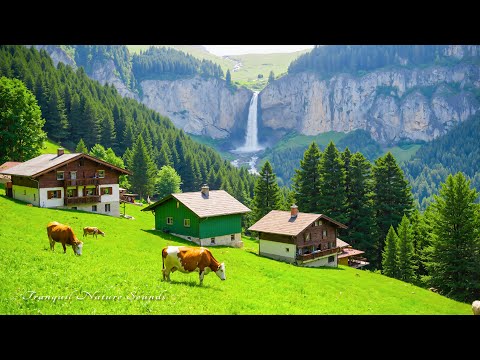 Видео: 🌿 Целебные мелодии | Успокойте нервную систему, избавьтесь от беспокойства и обеспечьте глубокий со