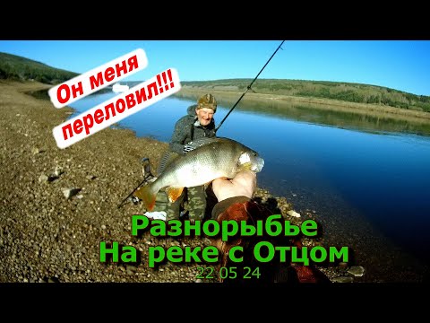 Видео: Разнорыбье На реке с Отцом 22 05 24