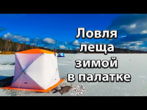 Видео: Зимняя ловля леща в палатке.